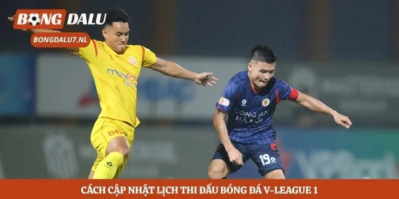 Cách cập nhật lịch thi đấu bóng đá V-League 1