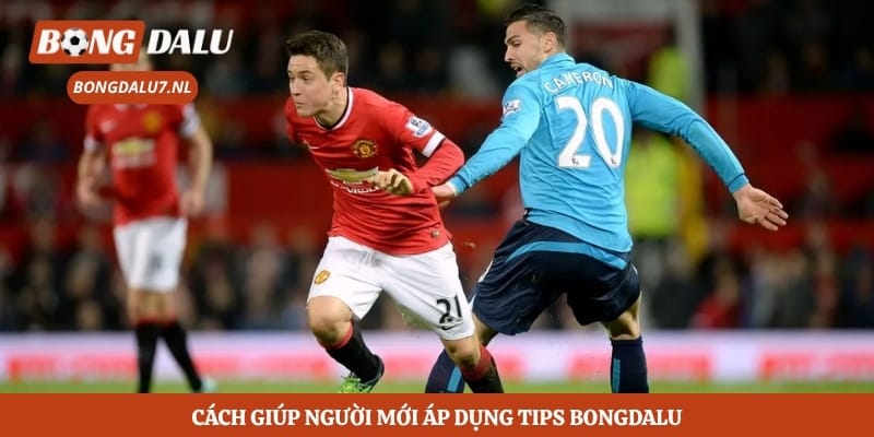 Cách giúp người mới áp dụng tips Bongdalu