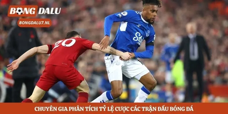 Chuyên gia phân tích tỷ lệ cược các trận đấu bóng đá