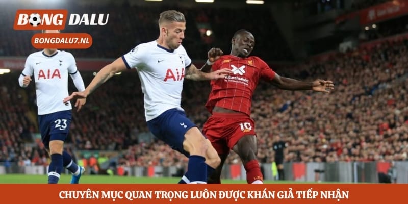 Chuyên mục quan trọng luôn được khán giả tiếp nhận