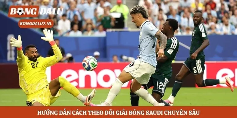 Hướng dẫn cách theo dõi giải bóng Saudi chuyên sâu