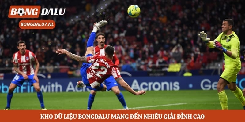 Kho dữ liệu bongdalu mang đến nhiều giải đỉnh cao