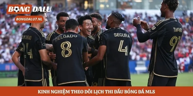 Kinh nghiệm theo dõi lịch thi đấu bóng đá MLS