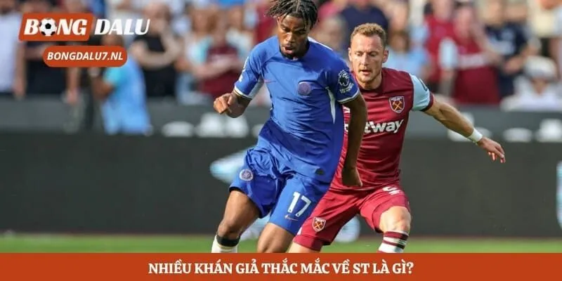 Nhiều khán giả thắc mắc về ST là gì?
