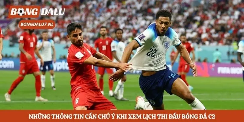 Những thông tin cần chú ý khi xem lịch thi đấu bóng đá C2