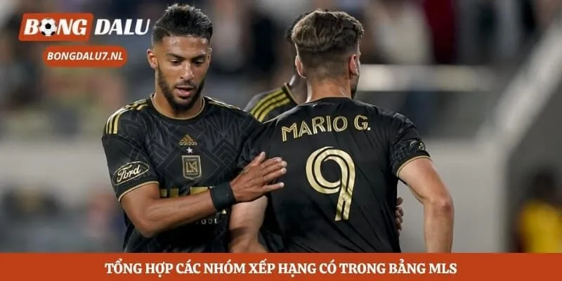Tổng hợp các nhóm xếp hạng có trong bảng MLS