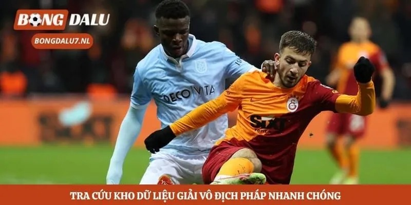 Tra cứu kho dữ liệu giải vô địch Pháp nhanh chóng