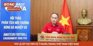 VFF Là Gì? Vai Trò Và Ý Nghĩa Trong Thể Thao Việt Nam