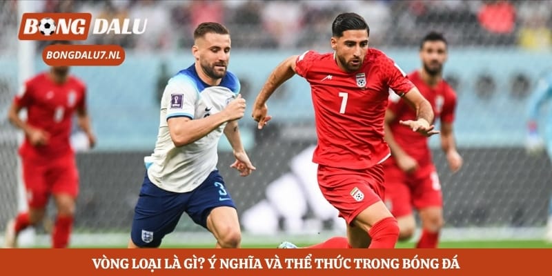 Vòng Loại Là Gì? Ý Nghĩa Và Thể Thức Trong Bóng Đá